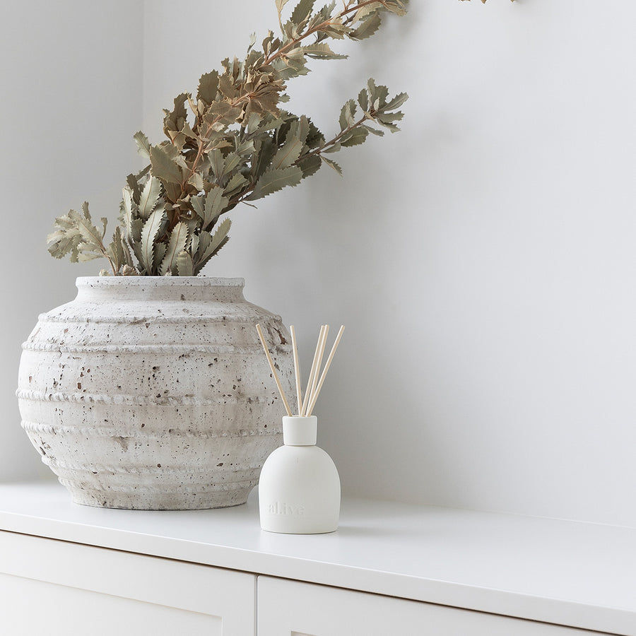 al.ive - Sweet Dewberry & Clove Room Diffuser