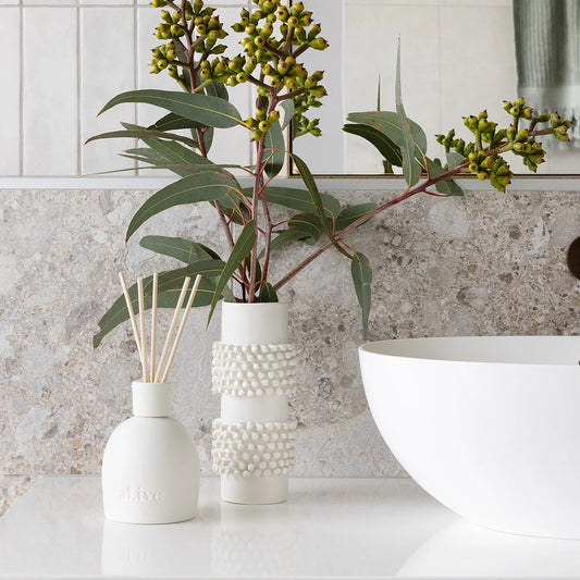 al.ive - Sweet Dewberry & Clove Room Diffuser